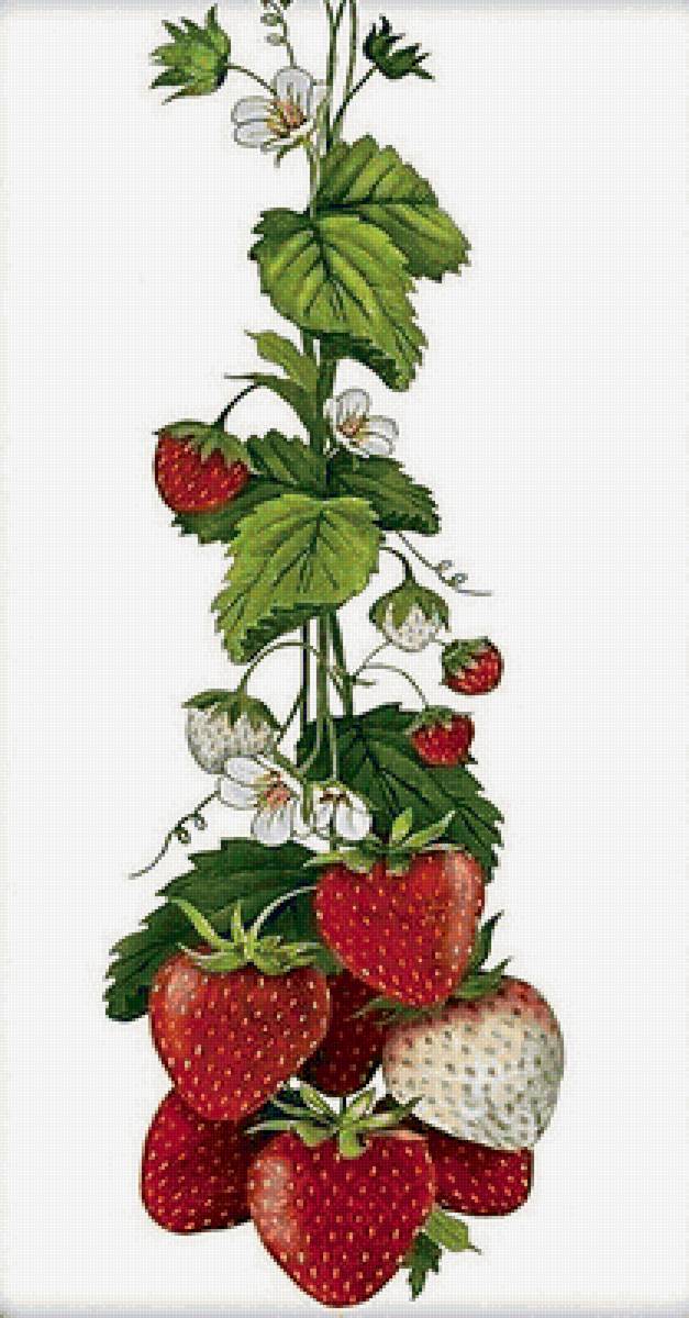 №1666643 - предпросмотр