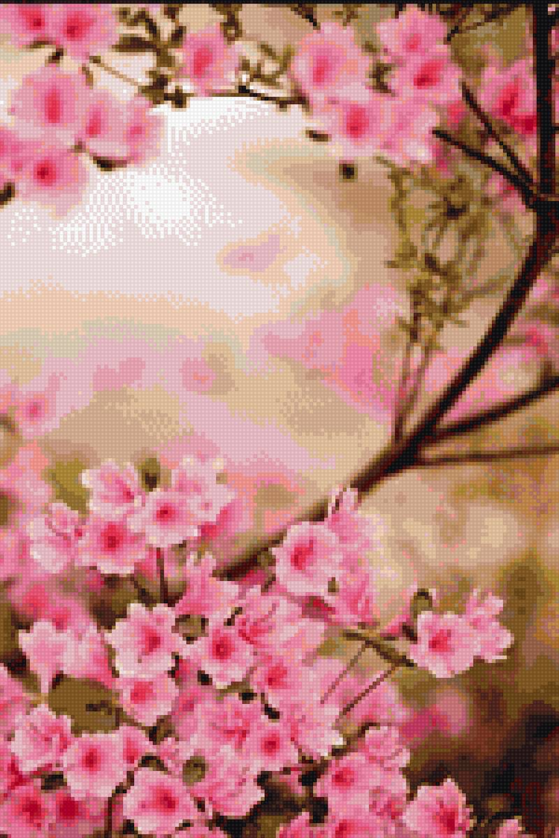 Яблоня в цвету - деревья, цветы, растения, яблоня - предпросмотр