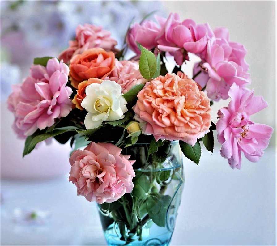 №1666960 - цветы, фото - оригинал