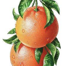 Схема вышивки «№1667251»