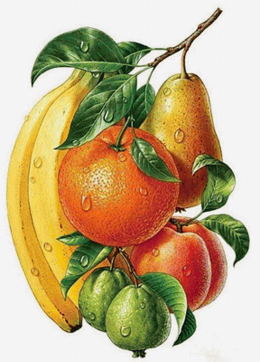 №1667257 - предпросмотр