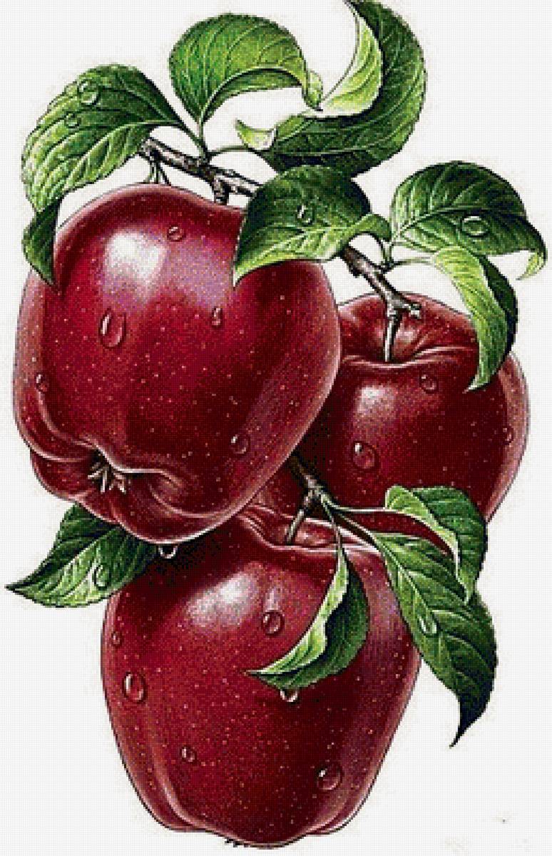 №1667262 - предпросмотр