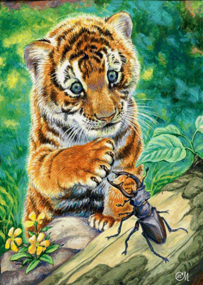 №1667640 - тигренок, животный мир - предпросмотр