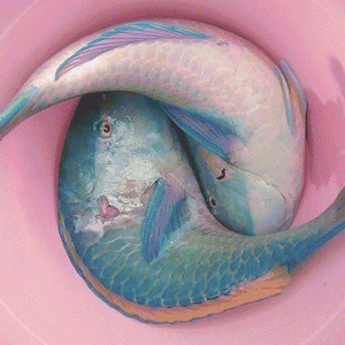 Рыбки - рыбы - предпросмотр