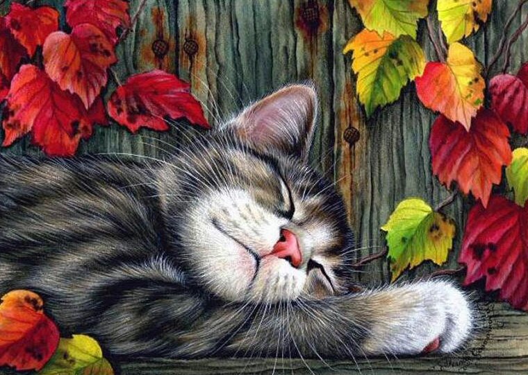 №1668065 - оригинал