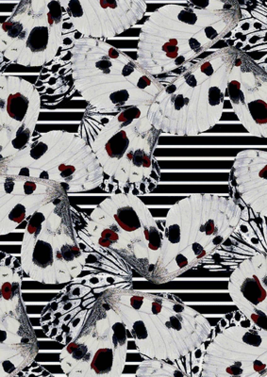 №1668711 - предпросмотр