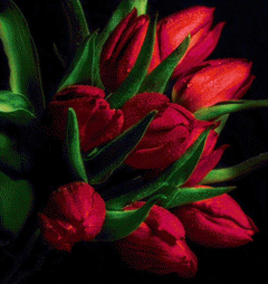 Красные тюльпаны - тюльпаны, цветы, черное - предпросмотр