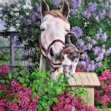 Схема вышивки «лошадь и кот»