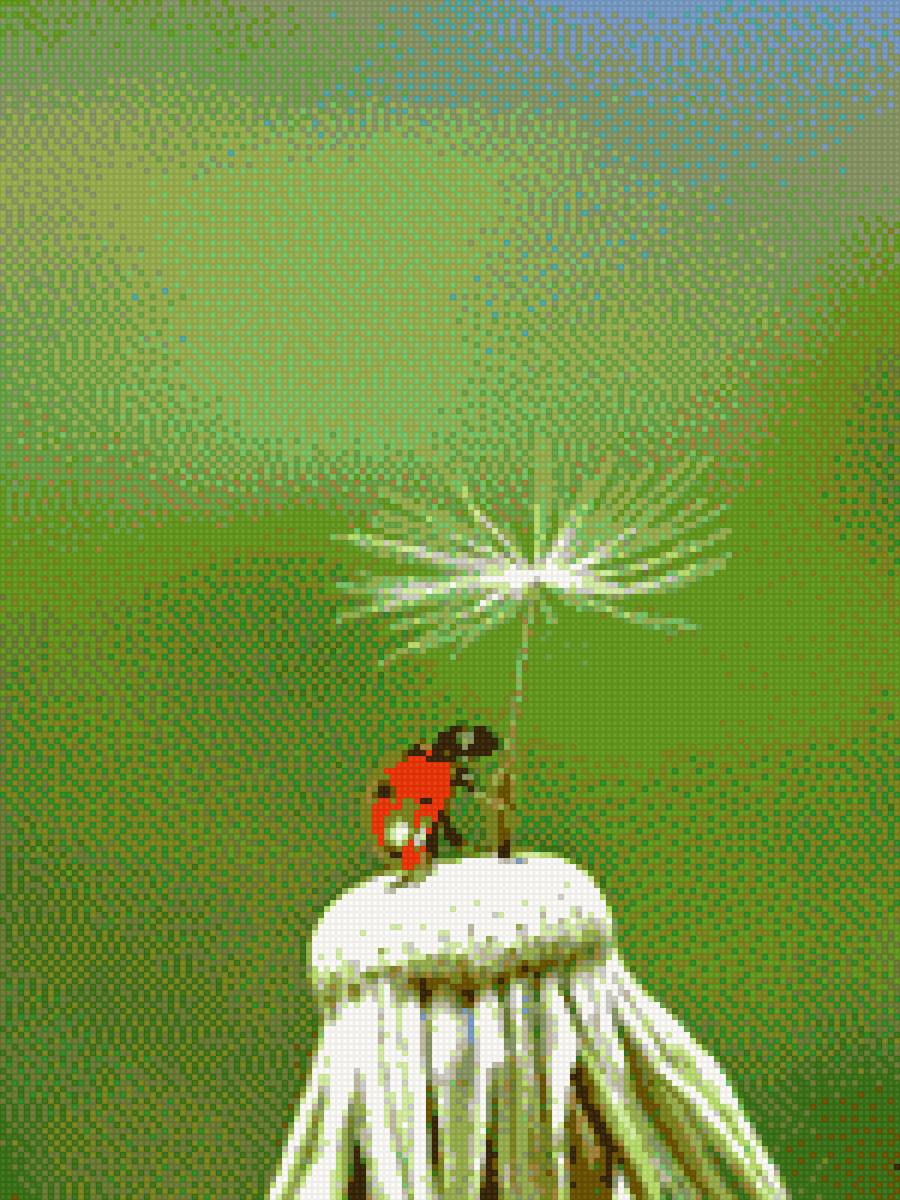 божья коровка - предпросмотр