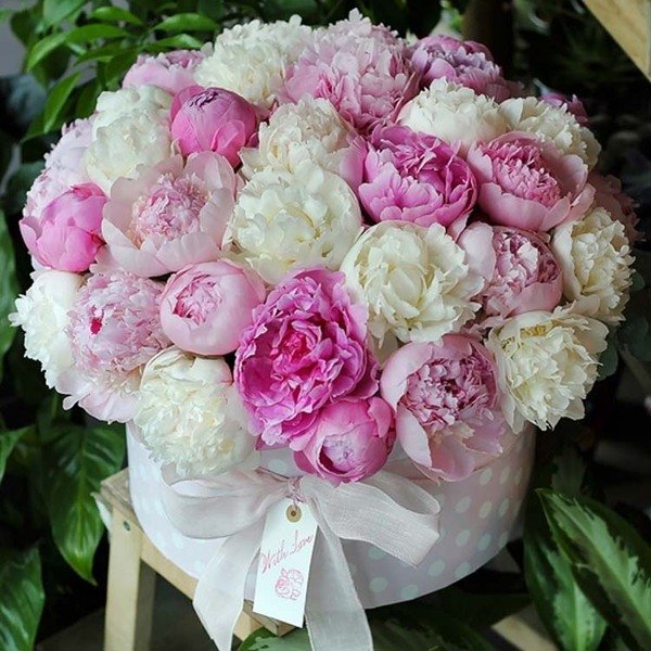 Пионы - розовый букет - оригинал