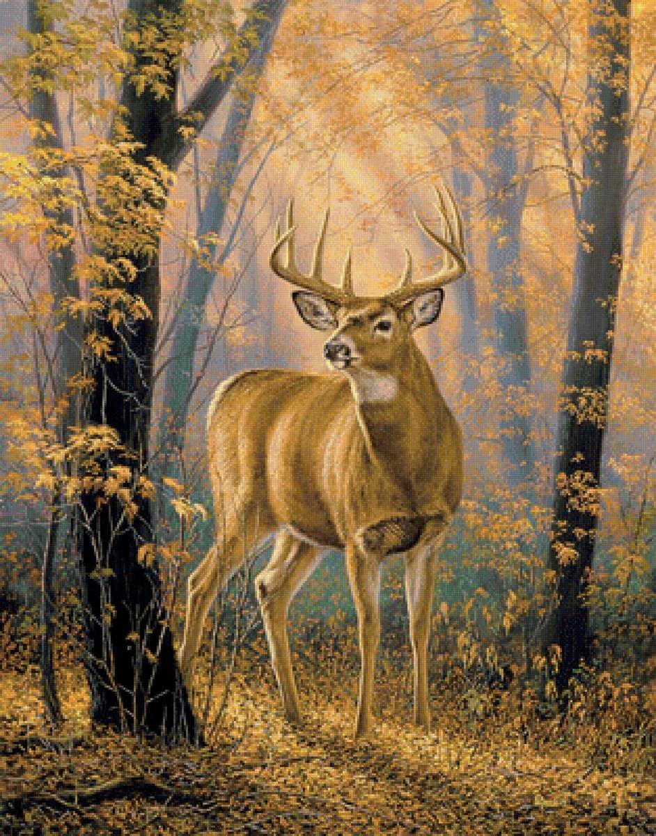 №1670971 - дикие животные - предпросмотр