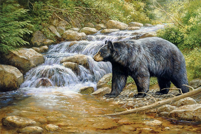 №1670981 - дикие животные - оригинал