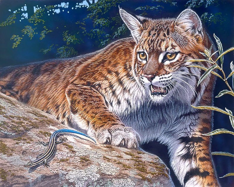 №1671003 - дикие животные - оригинал