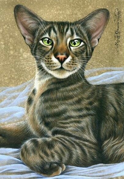 №1671020 - оригинал