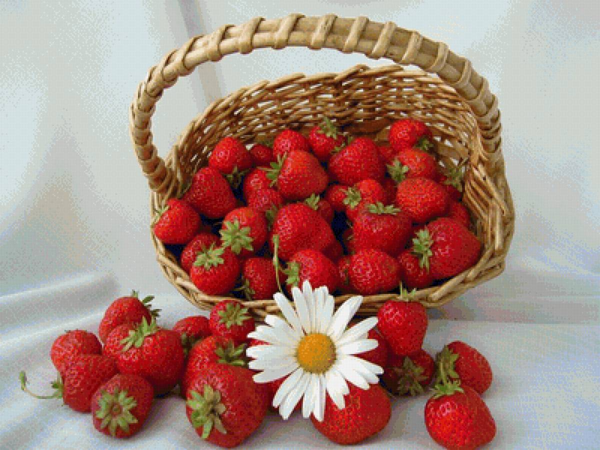 №1671108 - предпросмотр