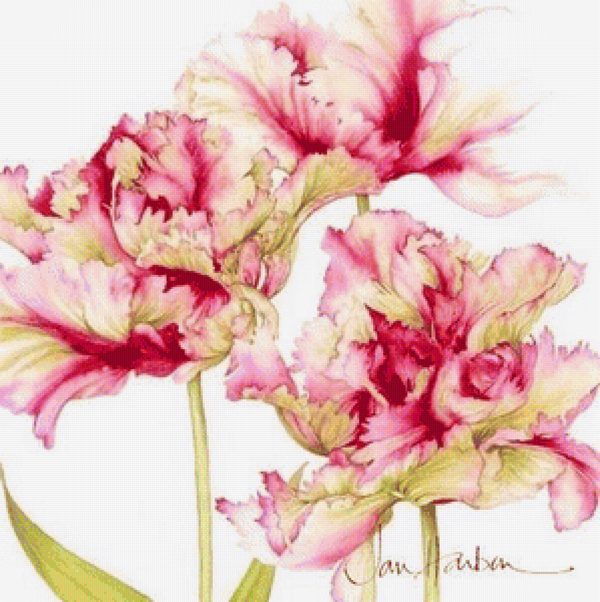 ТЮЛЬПАНЫ - тюльпаны - предпросмотр