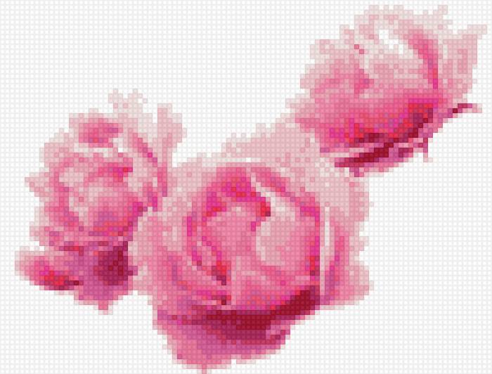 Пионы - цветы, пионы, нежность - предпросмотр