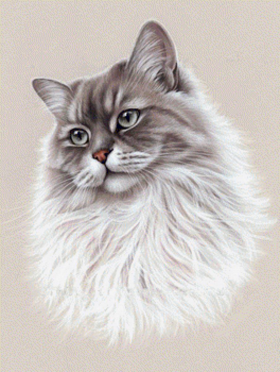 kot - предпросмотр