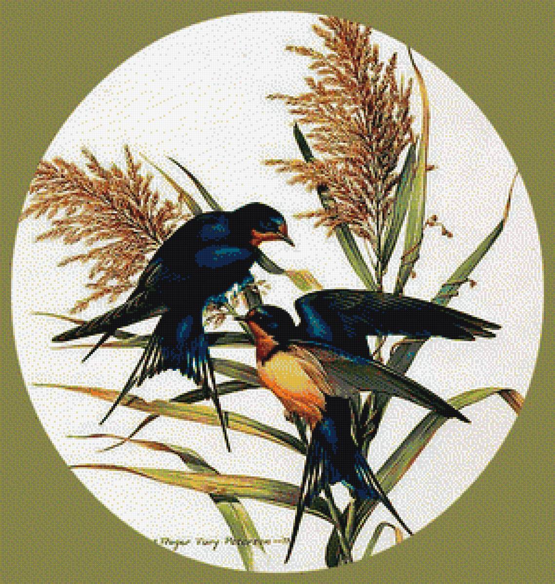 Серия "Птицы" - ласточки - предпросмотр