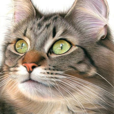 Схема вышивки «№1671675»