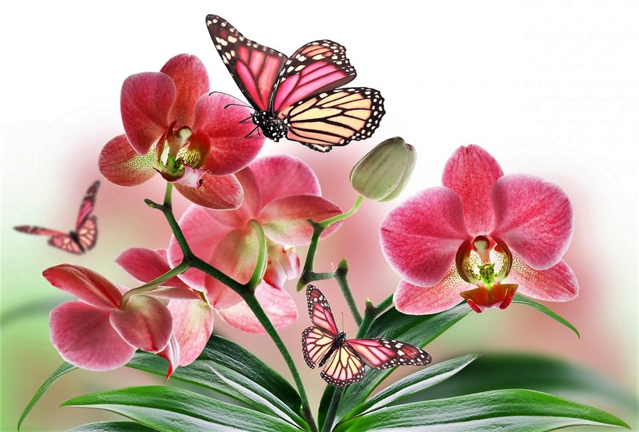 цветы и бабочки - живопись, картина - оригинал
