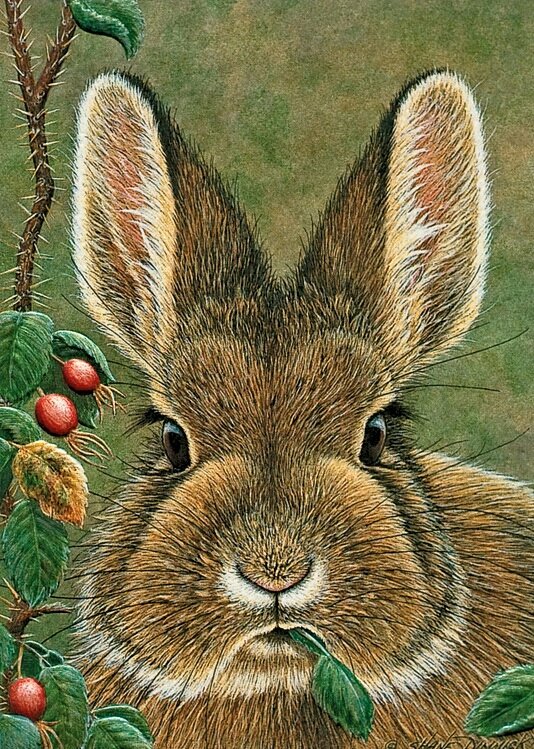 №1671748 - оригинал