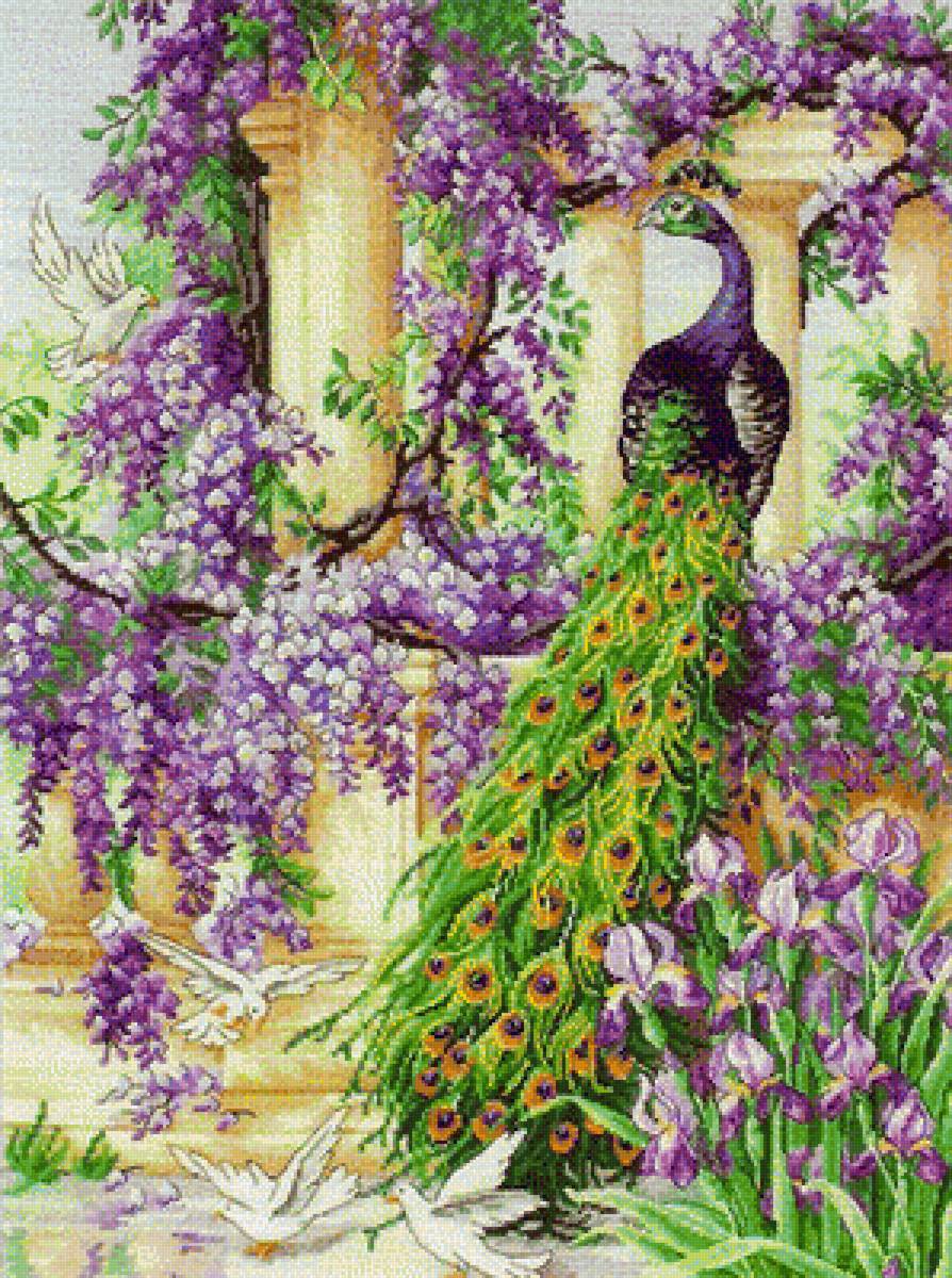 павдин - предпросмотр