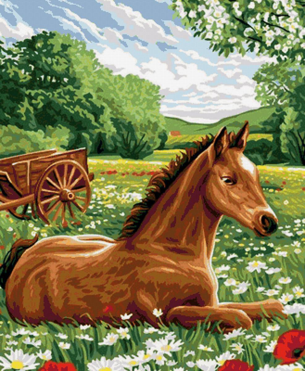весна - животные, лошадь - предпросмотр