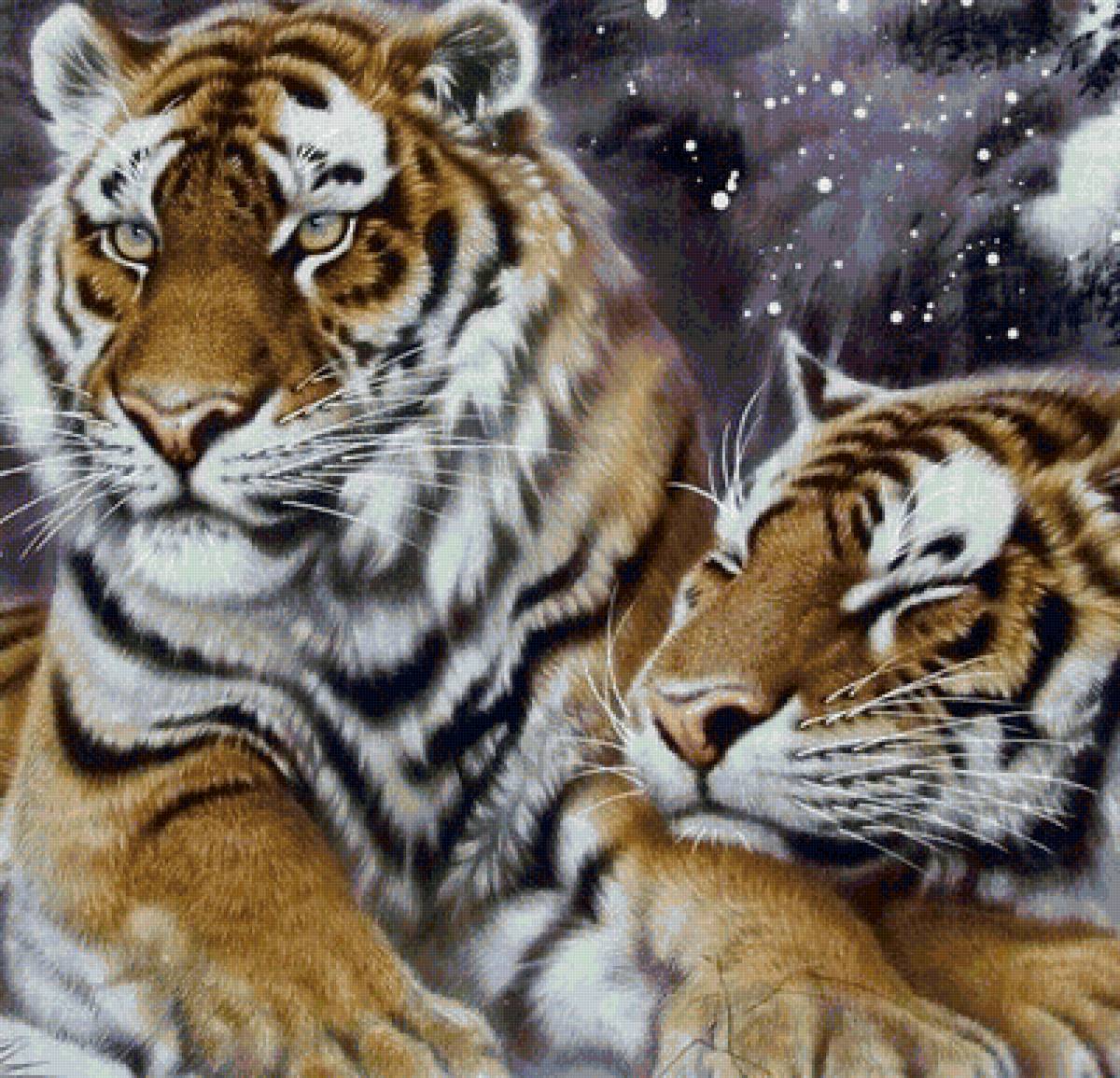 тигры - кошки, животные - предпросмотр