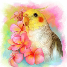 Схема вышивки «Птичка»