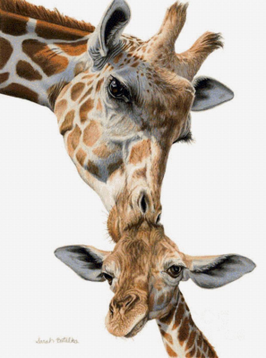 Мир животных - животное, семья, жираф, арт - предпросмотр