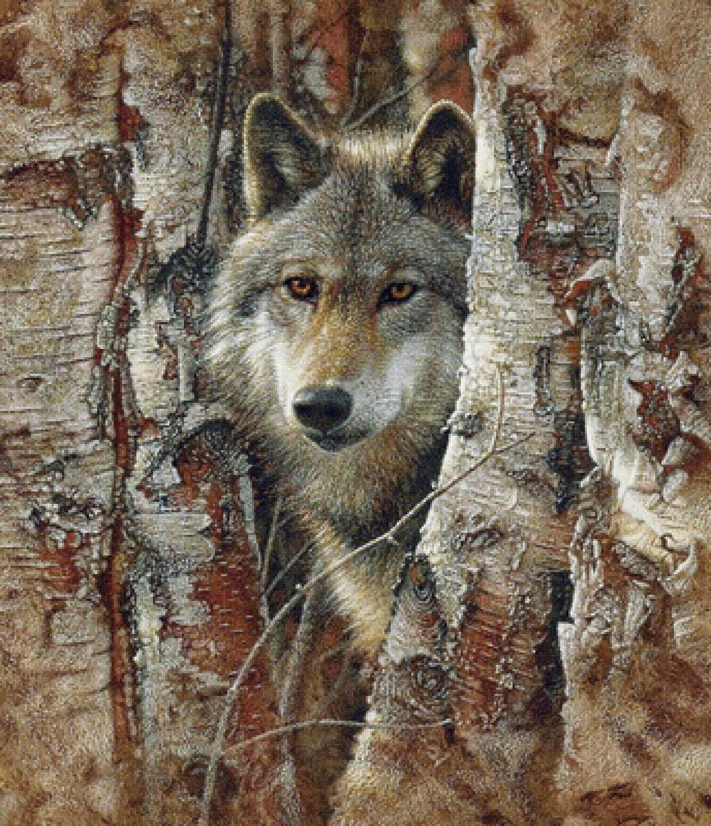 №1673273 - дикие животные - предпросмотр