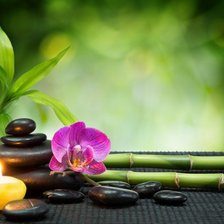 Схема вышивки «орхидея-1»