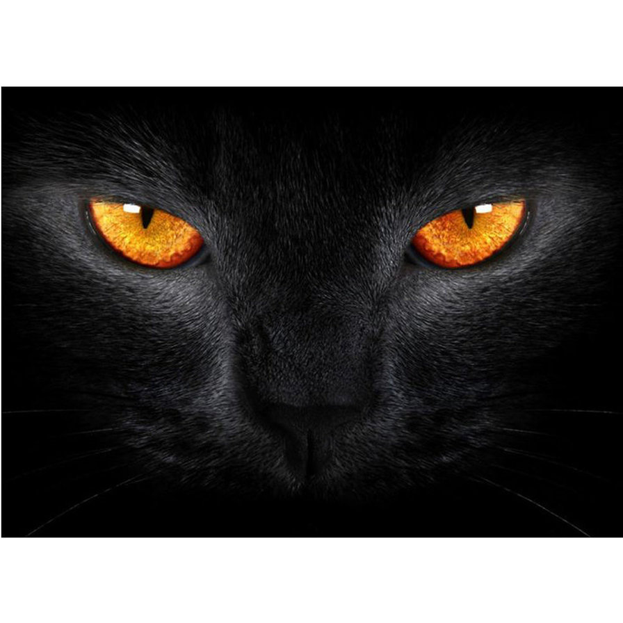 №1673598 - оригинал