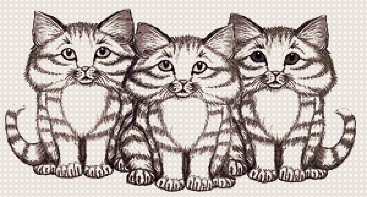 3 котики - предпросмотр