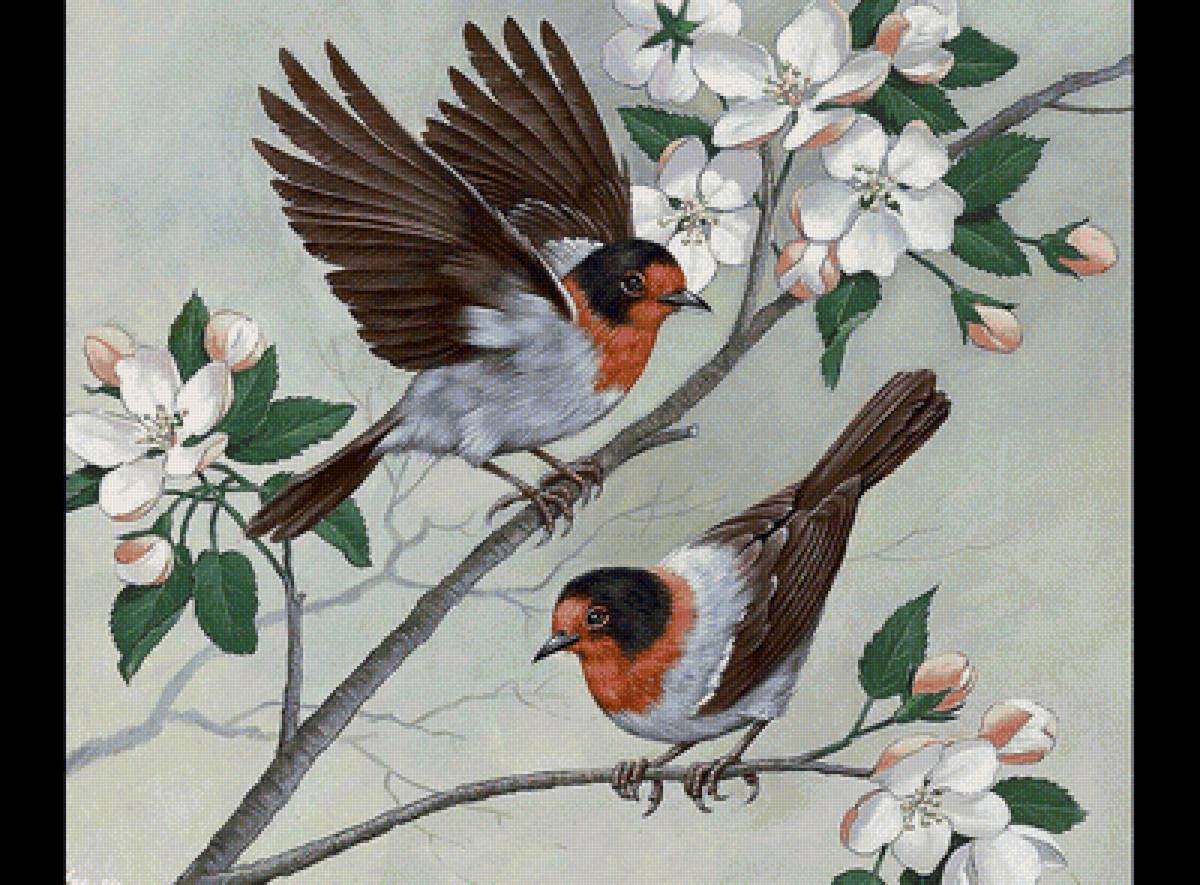 Птицы на ветке - птицы, цветущая ветка - предпросмотр