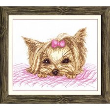Схема вышивки «Йоркширский терьер»