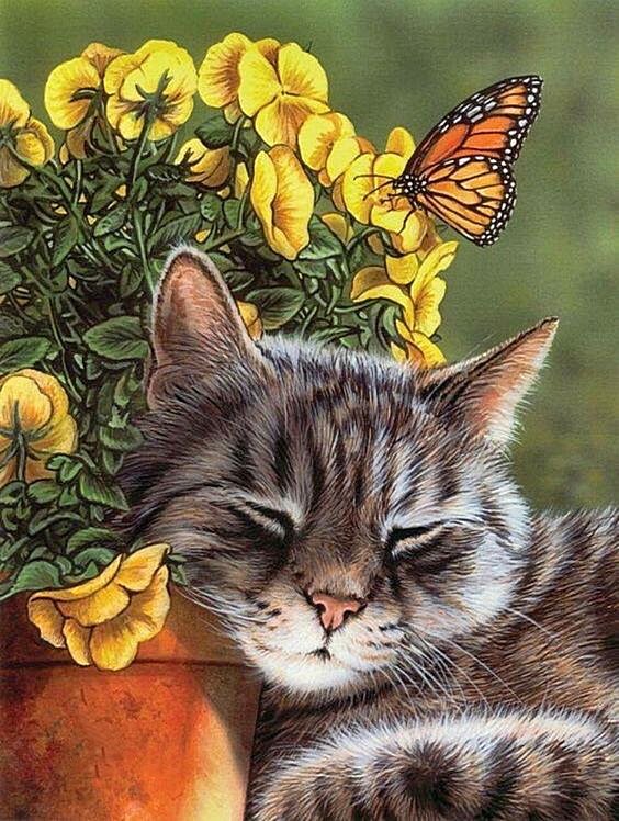 №1674727 - оригинал