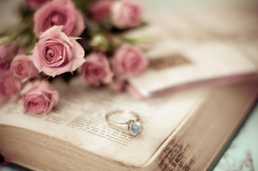 розы - розы - оригинал