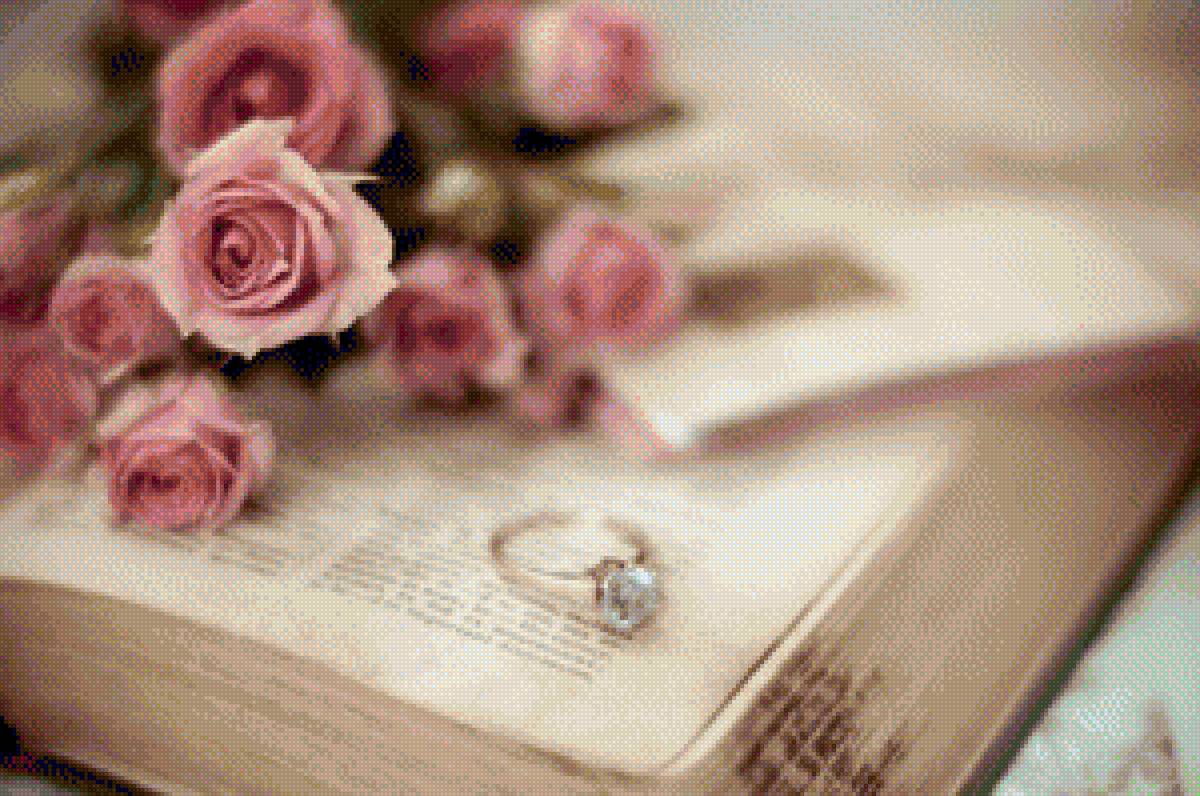 розы - розы - предпросмотр