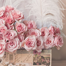 Схема вышивки «розы»