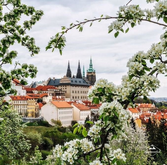 Прага - оригинал