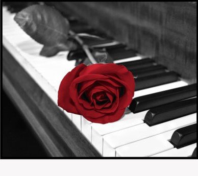 ვარდი როიალზე - оригинал