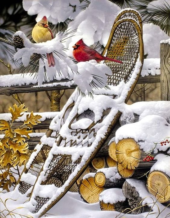 Зима - зима, арт, птицы, снег, кардинал - оригинал