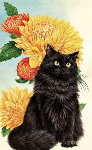 Котик - кот, кошка, фэнтези, цветы, животное, арт - оригинал