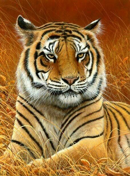 №1676977 - оригинал