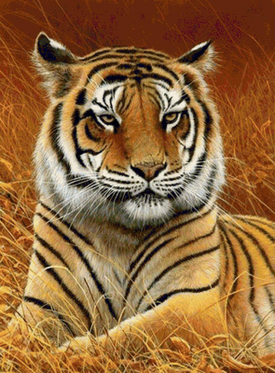 №1676977 - предпросмотр