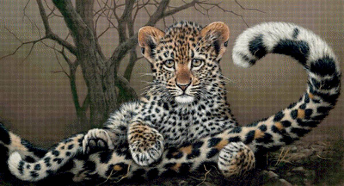 №1677184 - дикие животные - предпросмотр