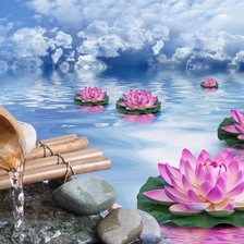 Схема вышивки «родник и лотосы»