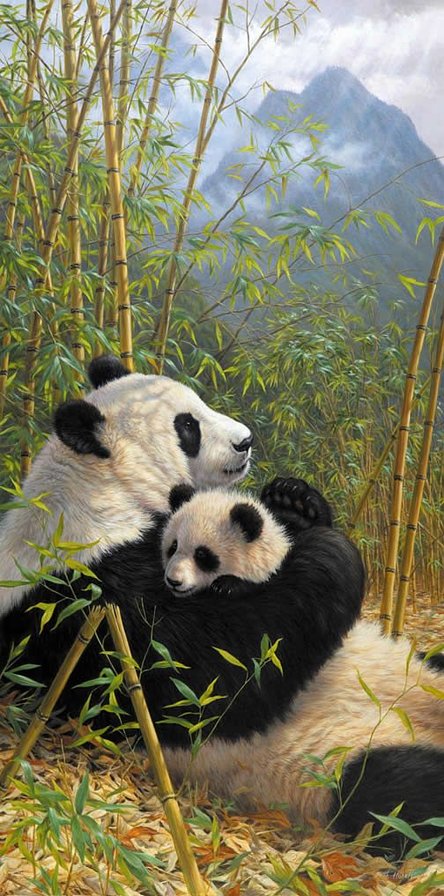 Мир животных - природа, панда, семья, арт, бамбук, мама - оригинал